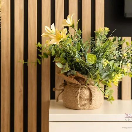 Your Holidays Bel Mare Aqua 537f Miedzyzdroje